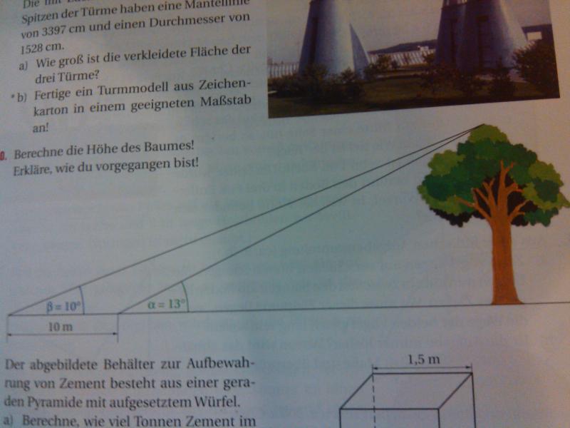 Berechne die Höhe des Baumes | Mathelounge