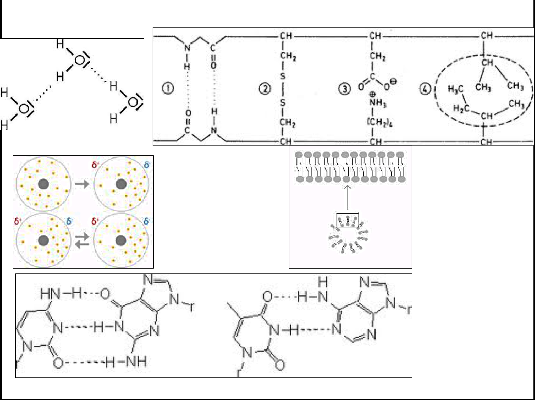 chemie 3.png