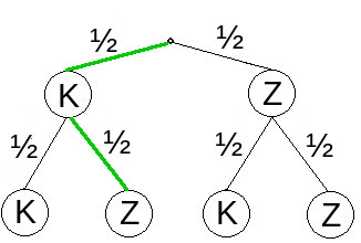 baumdiagramm.jpeg