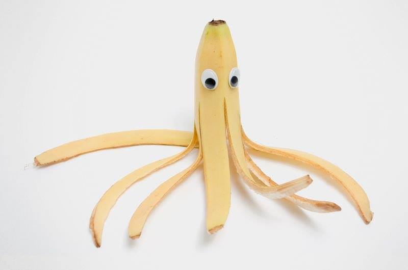 Mathelounge Banane Tintenfisch.jpg