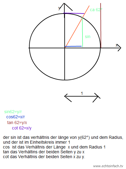 Sinus