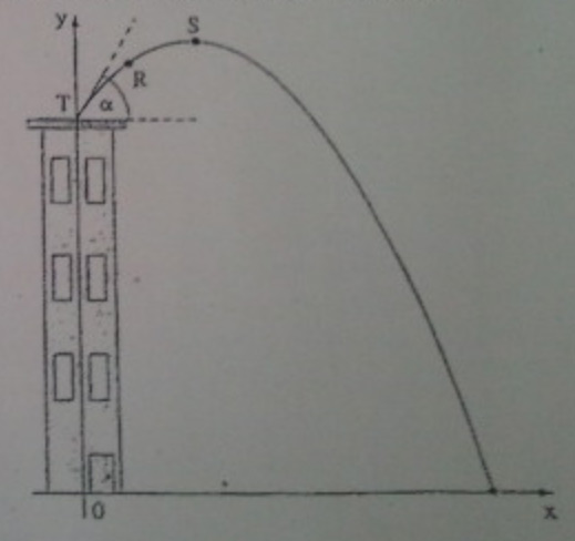 blob-(2).jpg