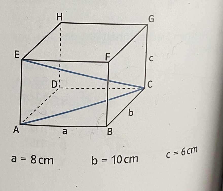 9EA511A9-3BB0-4204-B449-0913CF572194.jpeg